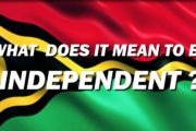 Whats Buzzing: What Does It Mean To Be Independent ? [Video]